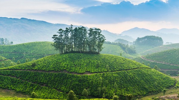 Simply Kerala