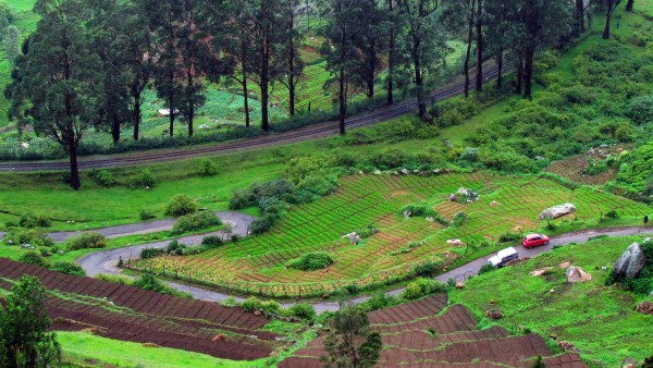 Bangalore Coorg Wynad Ooty