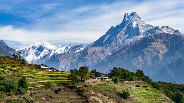 Unique Himalaya